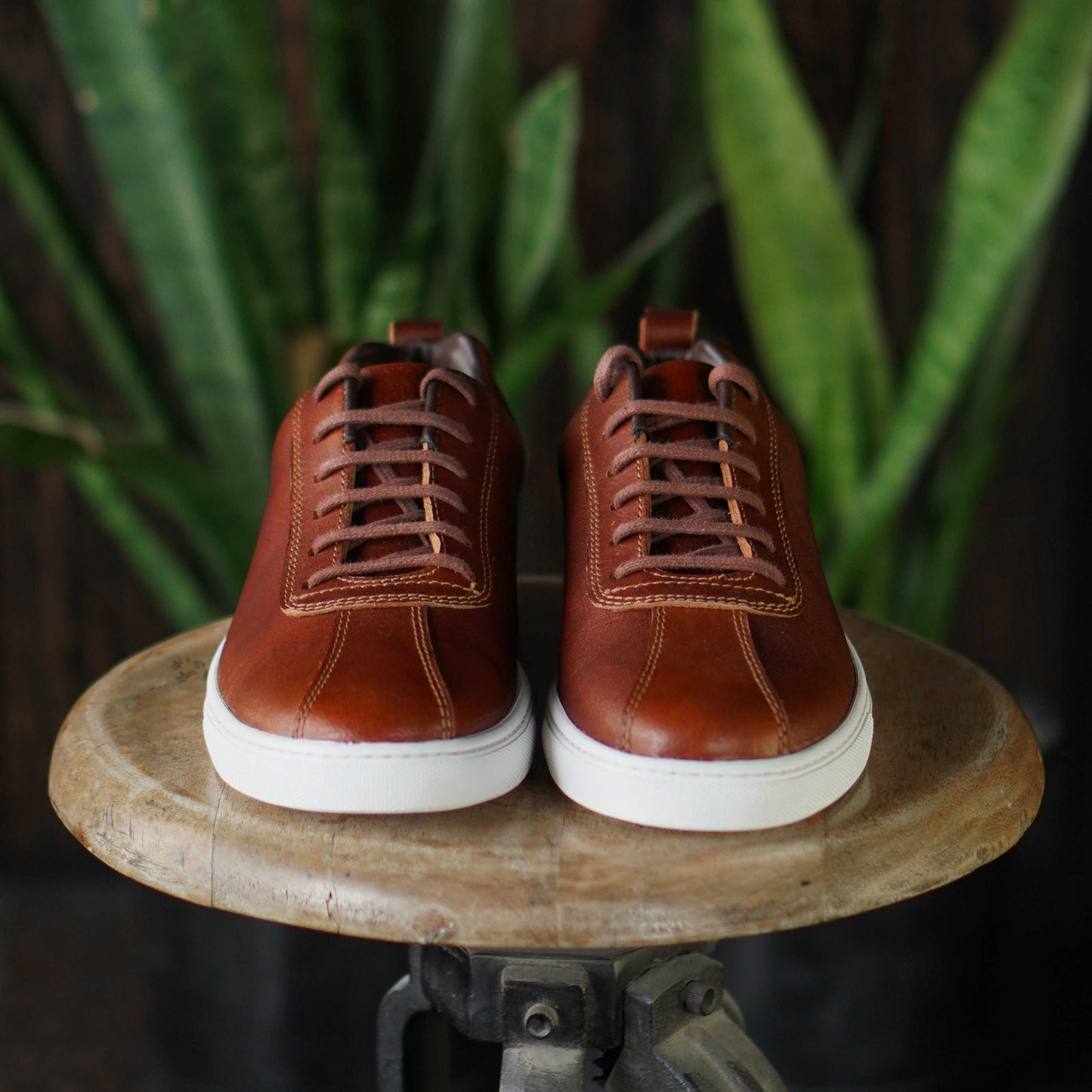 Austin Low Top Sneakers (Saddle Tan)