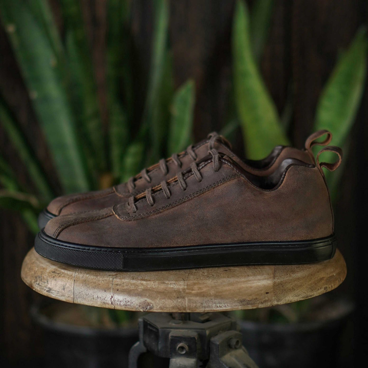 Austin Low Top Sneakers (Vintage Brown)