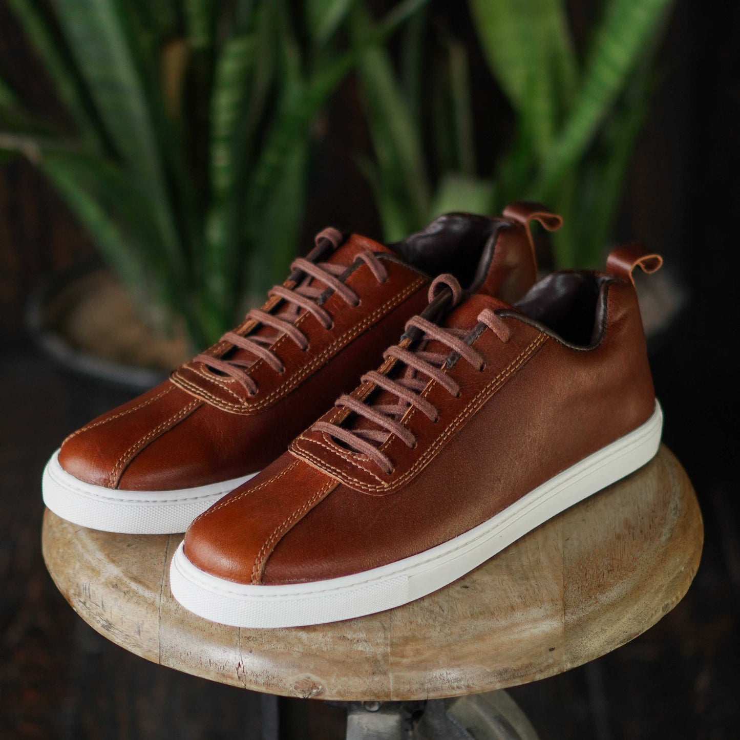 Austin Low Top Sneakers (Saddle Tan)
