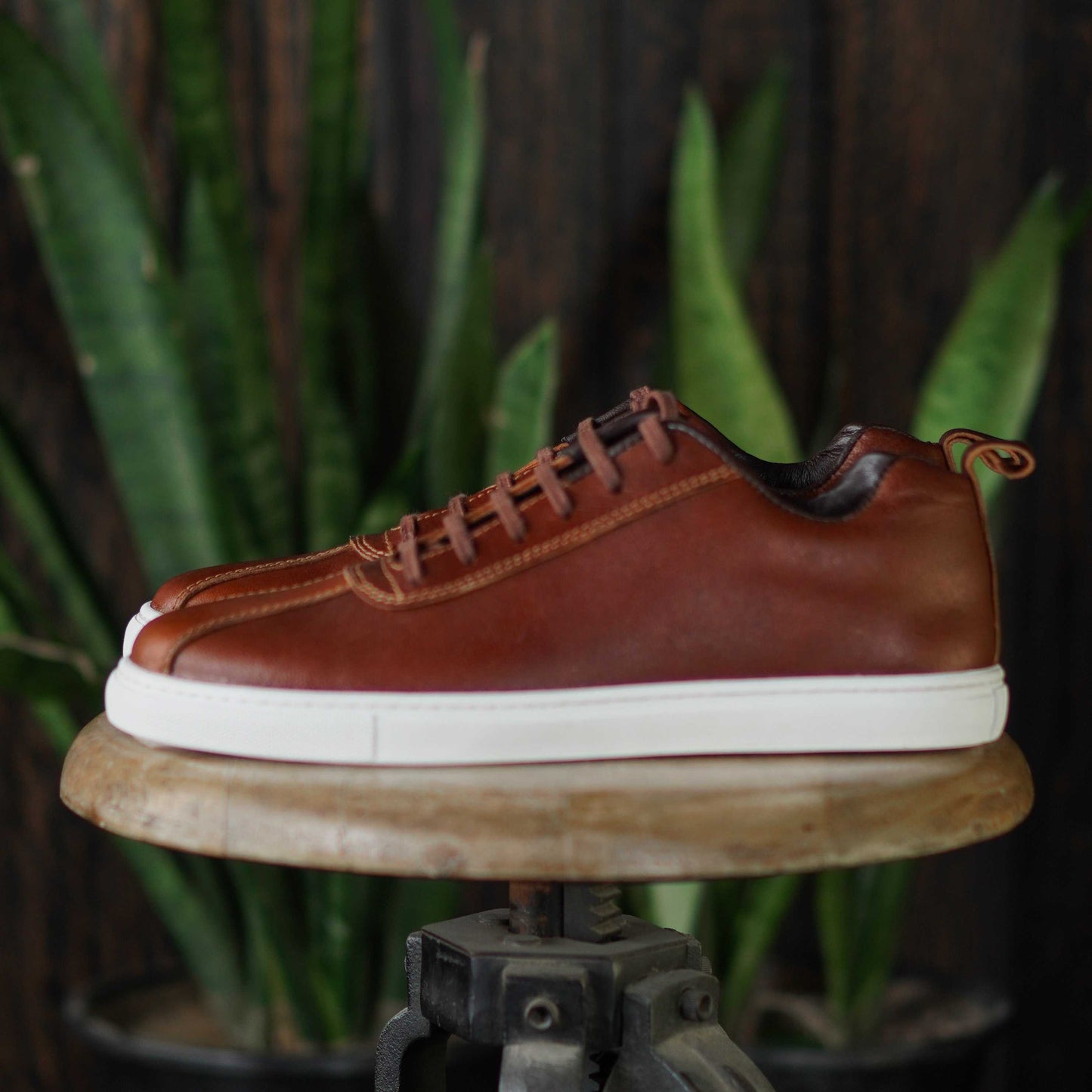 Austin Low Top Sneakers (Saddle Tan)