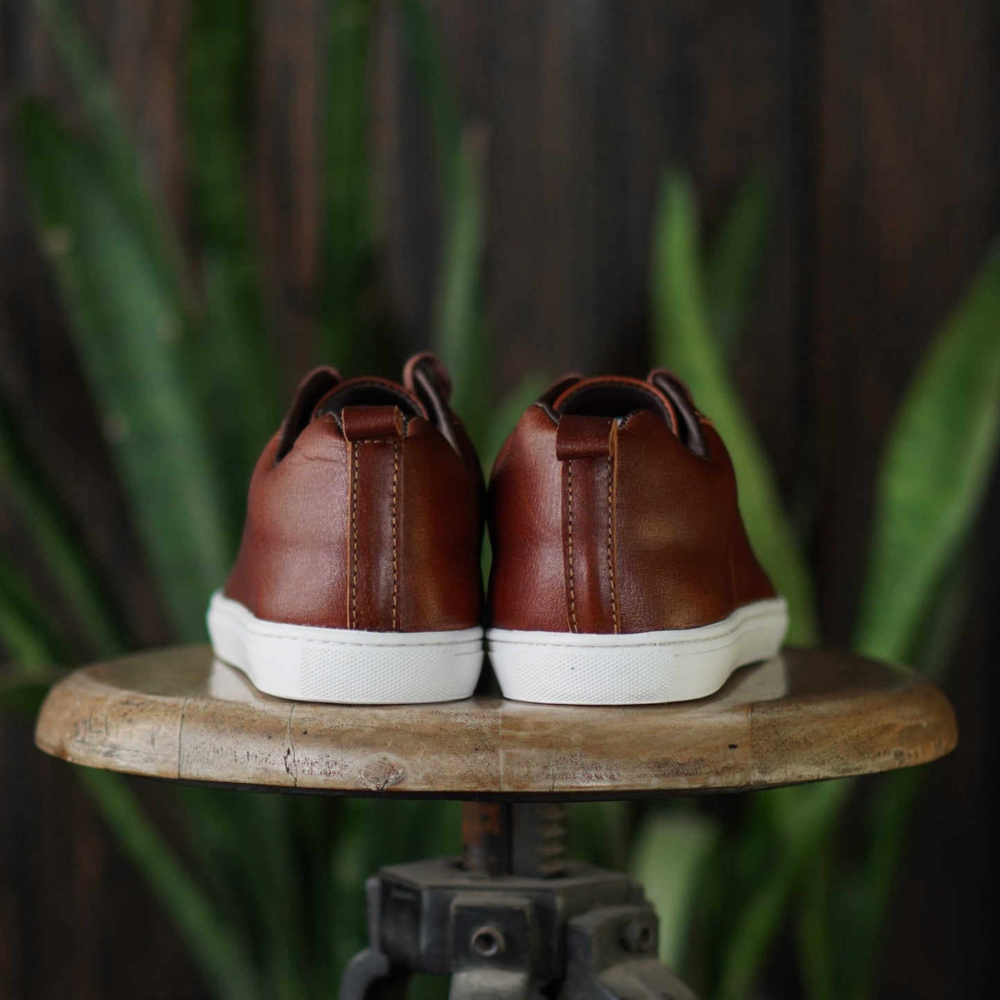 Austin Low Top Sneakers (Saddle Tan)