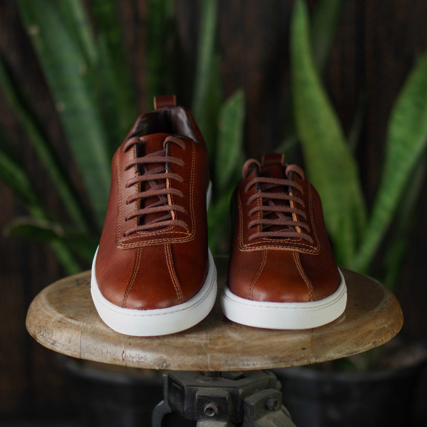 Austin Low Top Sneakers (Saddle Tan)