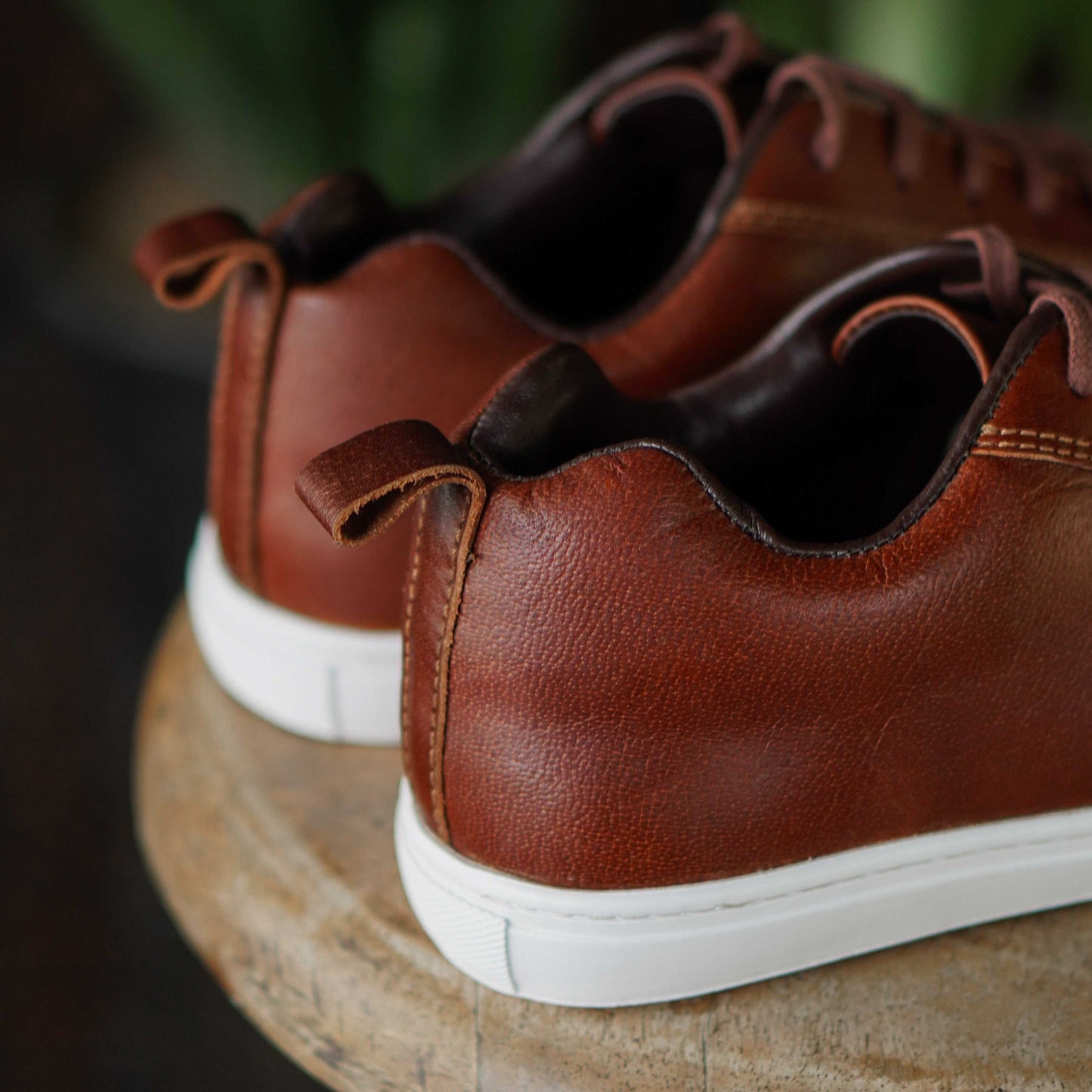 Austin Low Top Sneakers (Saddle Tan)