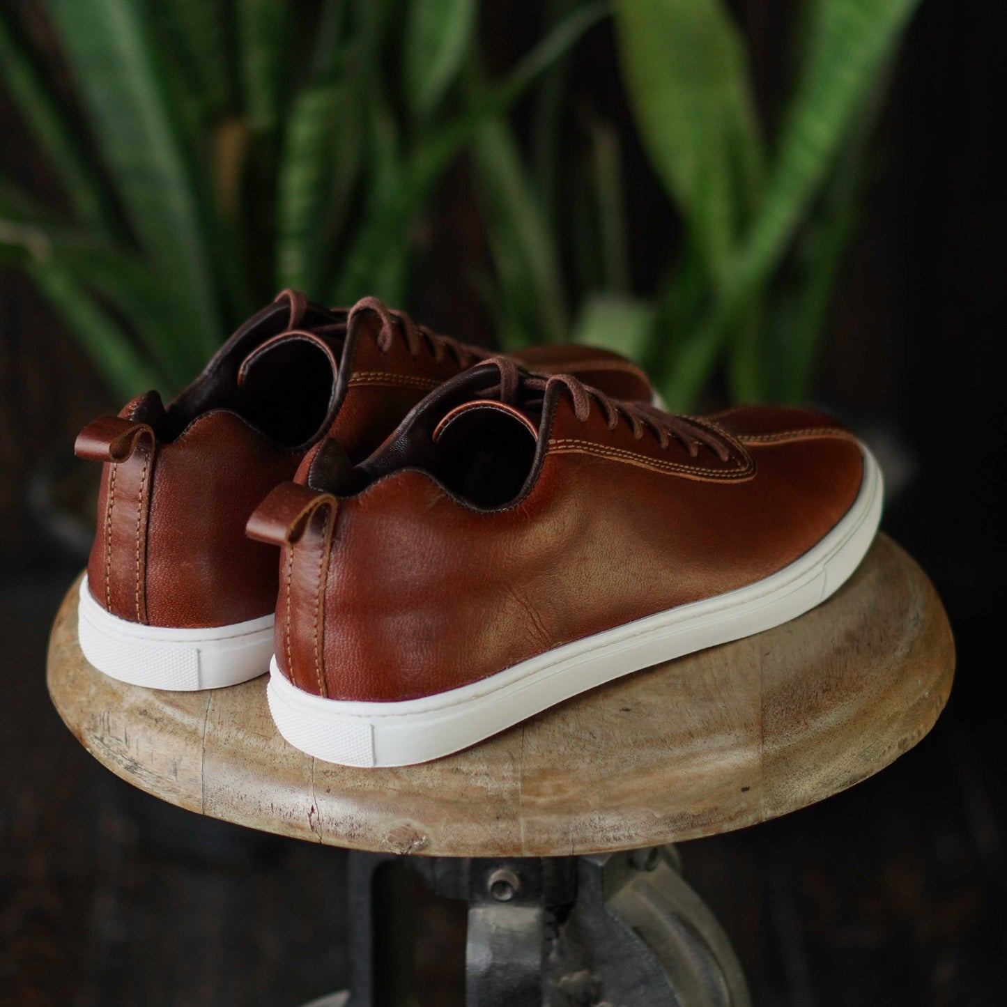 Austin Low Top Sneakers (Saddle Tan)