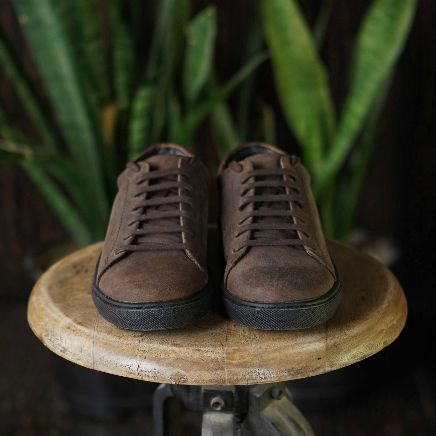 Manhattan Low Top Sneakers (Vintage Brown)