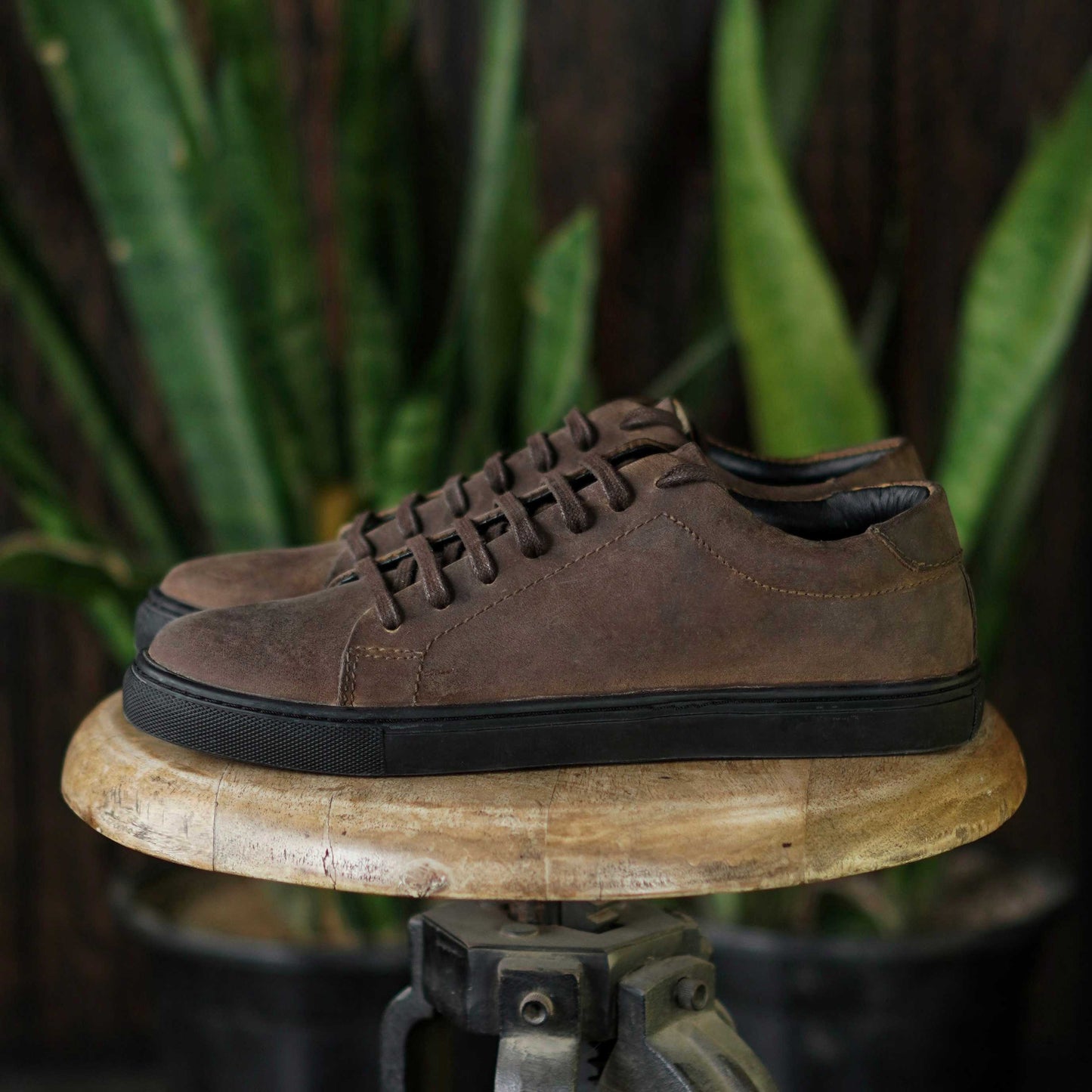 Manhattan Low Top Sneakers (Vintage Brown)