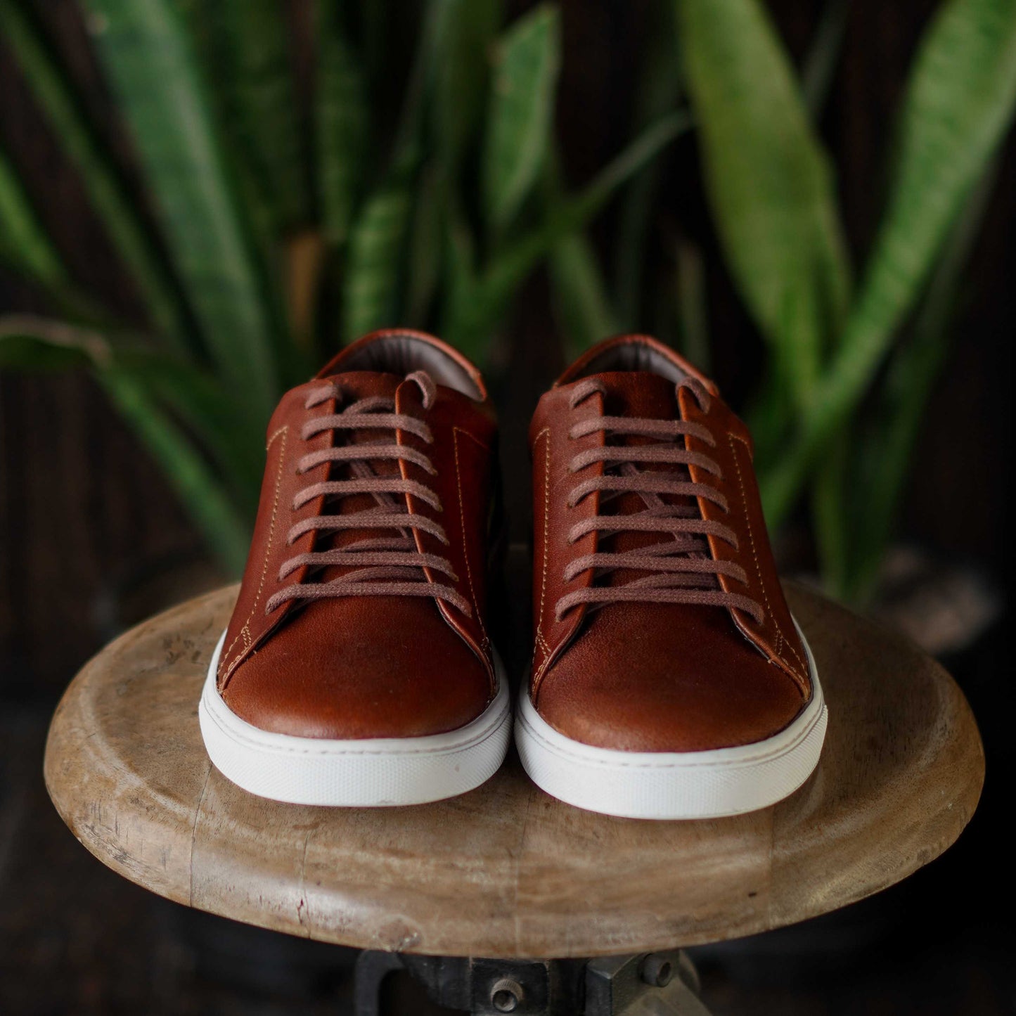 Manhattan Low Top Sneakers (Saddle Tan)