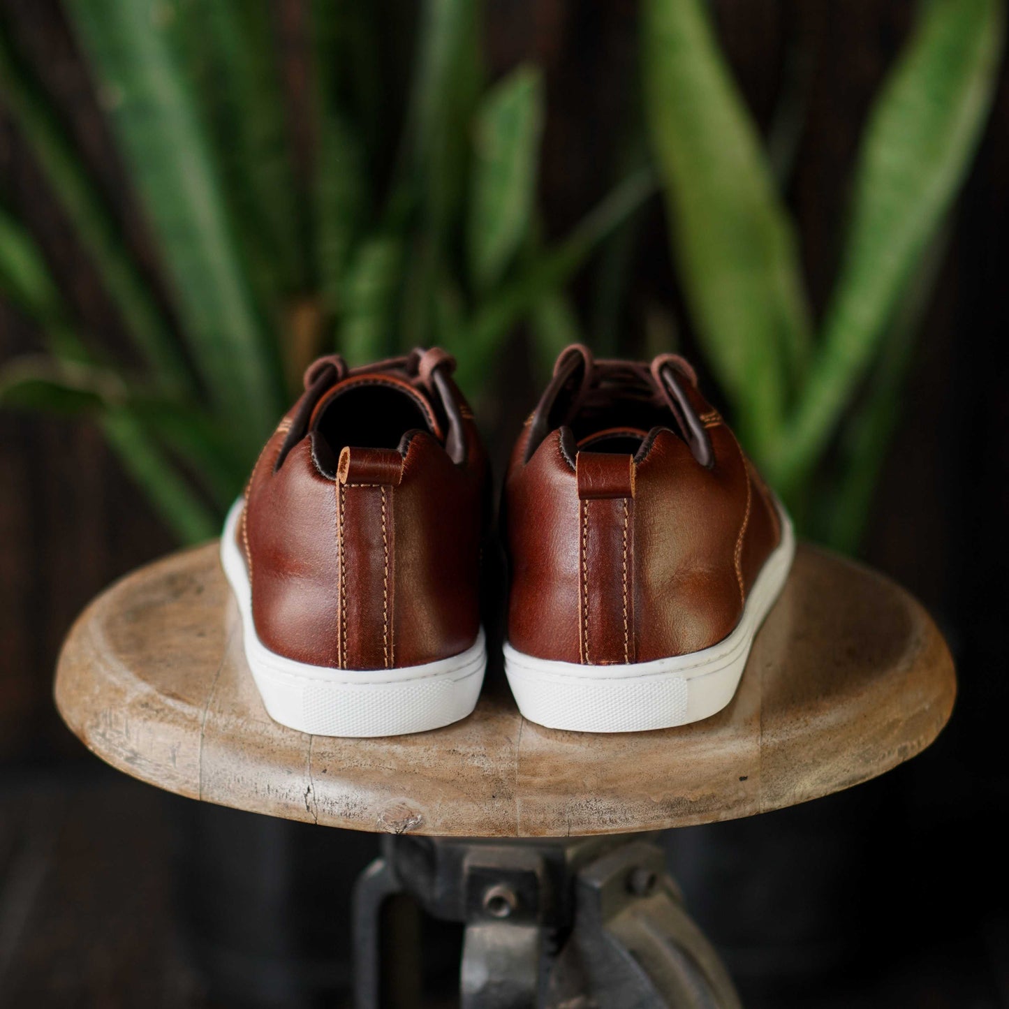 Brooklyn Low Top Sneakers (Saddle Tan)